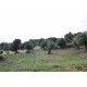 Properties for Sale_FARMHOUSE TO BE RENOVATED WITH LAND FOR SALE IN LAPEDONA, SURROUNDED BY SWEET HILLS IN THE MARCHE province in the province of Fermo in the Marche region in Italy in Le Marche_23